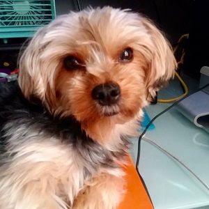 Meet your Posher, Reynaldo